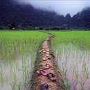 팝스잉글리쉬 이미지