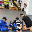 팀매드 | 부산주짓수 팀매드장산에 다녀온 솔직 후기입니다