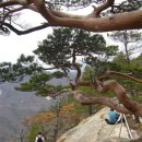 대륜테니스장