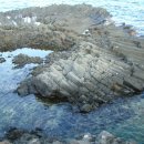 양남주상절리 이미지