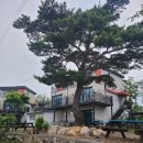 별빛애견펜션 | 경주가족펜션 경주별빛키즈애견펜션 방문 후기