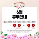 신아로 | 동치미 신아김치 국내산 농산물 광고 아닌 실제 후기들 찾아보기
