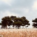 엔젤스 코인 노래연습장 수원 탑동점 | ~11/4 [독감 후기]