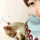 설아네미용실