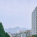 신림교