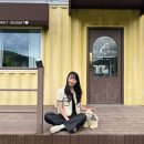 다솔농장 이미지