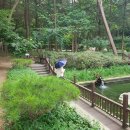 삼태기길 이미지