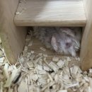 수완종합동물병원 이미지