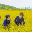 채령농장 이미지