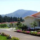 이디살래 이미지