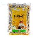 햄스터살롱 이미지