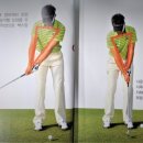 에스엔에스 스크린골프 이미지