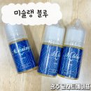순천 전자담배 미슐랭 블루