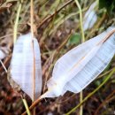 옥산자원환경 이미지