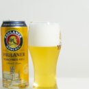 가톨릭할인마트 | 홈플러스 맥주 행사 파울라너 뮌헨 라거 내돈내산 후기