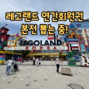 춘천 레고랜드 연간회원권 주차, 닌자고 15주년 이벤트부터 레스토랑 점심 후기