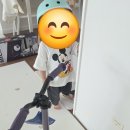 (주)프로마이크로 | 마이크로킥보드 맥시 프로 후기