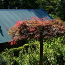 대둔산로 이미지