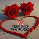 London Boys - l'm Gonna Give My Heart / SYMPATHY -RARE BIRD 이미지