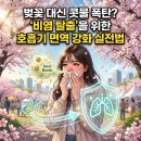 나우메드 | 벚꽃 대신 콧물 폭탄? '비염 탈출'을 위한 호흡기 면역 강화 실전법 (나는 몸신이다 2)