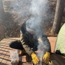 쿡킹아트 | [캠린이3회차] 경기도 포천 100만평 잣나무 숲과 실개천이 흐르는 유식물원캠핑장에서...