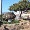 곡성-240 이미지