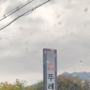 원조할매뚜레박어탕본점