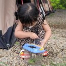 영우농장3 이미지