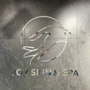 조이스킨 이미지