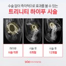 트리니티의원 이미지