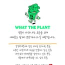 왓더플랜트