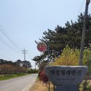 딱정벌레펜션 이미지