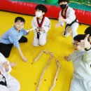 한샘태권도장 이미지