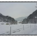 진안흑염소 농장 이미지