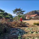 홍천군 영귀미면 노천초등학교 인근 전원주택 매매 이미지