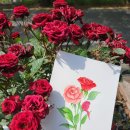 수채화(초급) 이미지