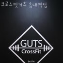 크로스핏 거츠 이미지