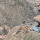 반곡정(신안계곡) 공중화장실 | 굴암산 등산 A코스 출발 C 코스 하산 주차장 정보