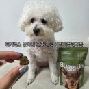 개발바닥친구들 이미지