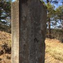 진주 이정 묘 이미지
