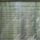 강진-35 이미지