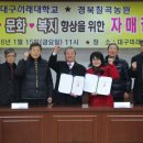 자매농원 - 태안군 연꽃길 151-1 | 자매농원