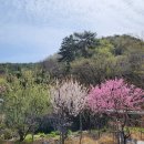 투썸플레이스 통영루지점 | 마음의 안식처 통영2