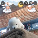 김포세탁 이미지