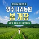 보리물농원 | 양주 나리농원 봄 개장… 3만9천 평 초록 명소 9일 무료 개방
