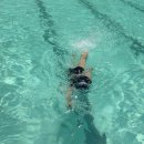 용산현대약국 | 🇦🇺 호주 시드니 | 2025 Nov 18 - 25