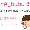 돌슐랭 이미지