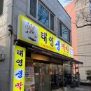 [창원 안민동 막창맛집 태영생막창 후기]
