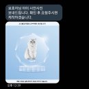 21그램 반려동물장례식장 | 21그램 반려동물장례식장 - 크리스탈 무드등 다이아몬드 후기