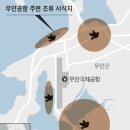 무안공항, 정치 논리로 건설… 조류 서식지 4곳 둘러싸여 초기부터 논란 이미지